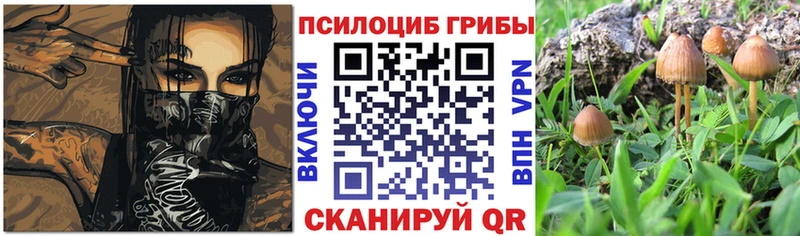 Галлюциногенные грибы Cubensis  купить наркотик  Ковдор 